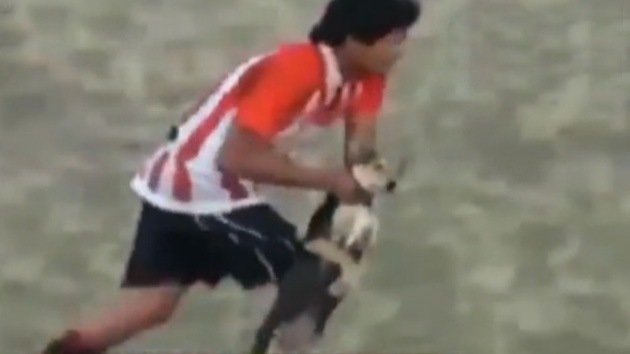 Roja directa: futbolista argentino agrede a un perro inofensivo en pleno partido