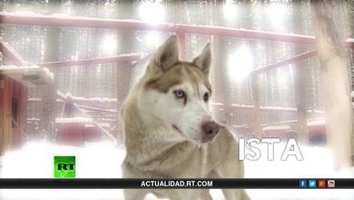 La lista de Erick: Un frío de perros