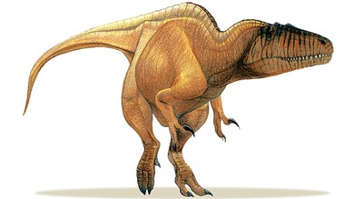Bautizan a un dinosaurio como ‘Ojo de Sauron’