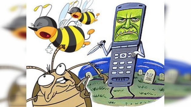Humanidad en peligro: los móviles matan a abejas y cucarachas - RT