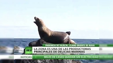 Provincia de Sajalín, lejano oriente de Rusia