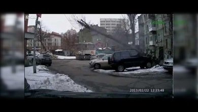 Una mujer se salva por un pelo de ser aplastada por un árbol