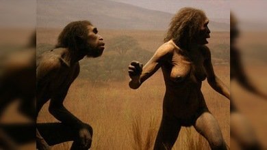 Somos como somos gracias al...¡cambio climático! 