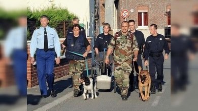Encuentran los restos de ocho bebés en una aldea en Francia