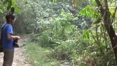 Un chico detiene a un enfurecido elefante con un gesto de la mano