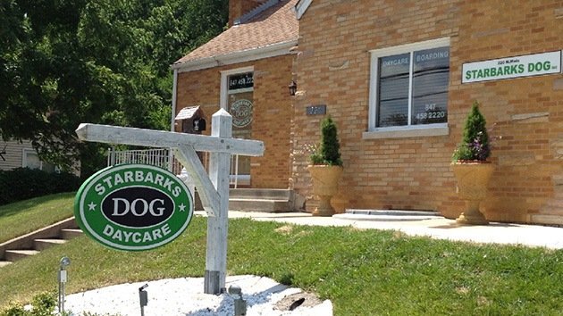 Starbucks 'marca' su territorio y 'ladra' al refugio canino que plagió su logo