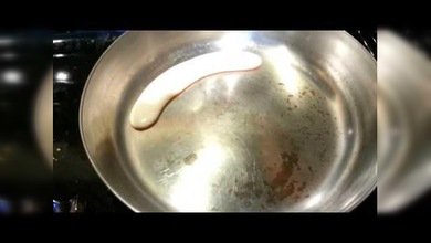 ¿Qué ocurre si vertemos cerveza en una sartén caliente?