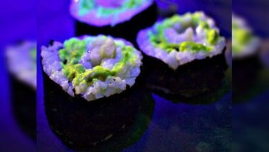Pescado luminoso, un plato capaz de alumbrar una cena romántica