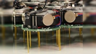 Insectos robots: los nuevos 'juguetes' espías estadounidenses