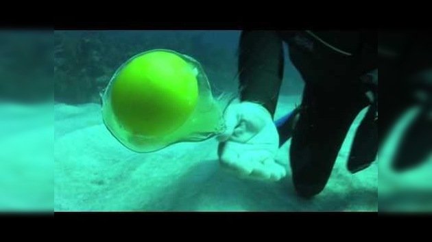 ¿Qué ocurre cuando rompes un huevo en el fondo del mar?
