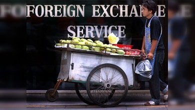 Experto: "Postulados de la economía verde de la ONU solo es un paso más del capitalismo"