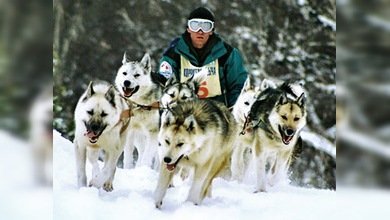 La famosa carrera de trineos de perros Beringía arranca en el Oeste ruso