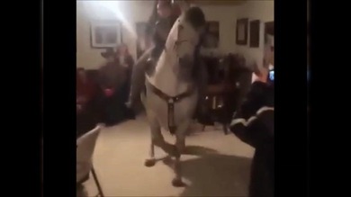 Hípico baile en una fiesta de cumpleaños mexicana
