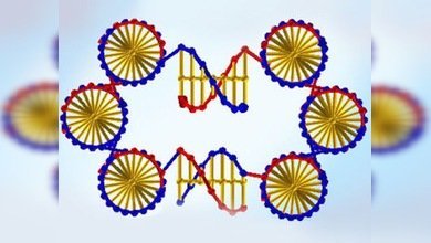 Crean moléculas artificiales capaces de reproducirse 