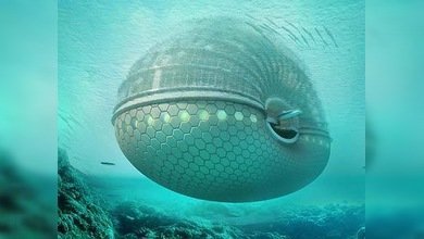 Arquitectos rusos se preparan para el fin del mundo