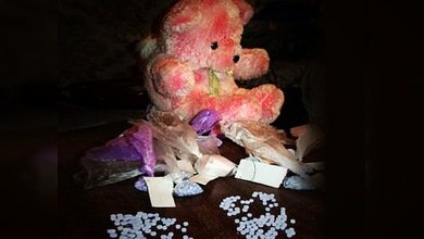 Embalajes navideños para el éxtasis