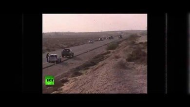 Una gran 'plaga bíblica' de millones de langostas invade Israel