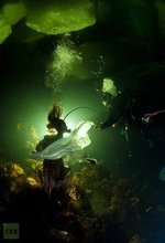La 'princesa de las ballenas' desnuda