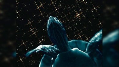 Un nuevo 'zoo' en el espacio