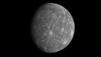 Encuentran los restos de los últimos procesos tectónicos en el lado oscuro de la Luna