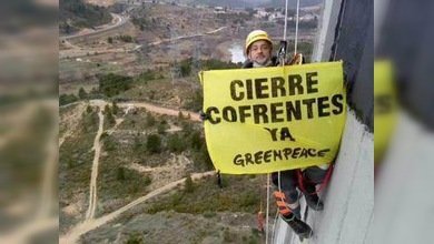 16 detenidos en la protesta de Greenpeace en la central de Cofrentes