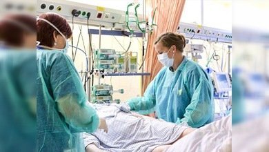 Confirman segundo caso de infección por E. coli en España