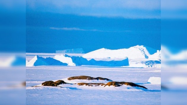 La Antártida acogerá en febrero la estación correctora para el 'GPS ruso'