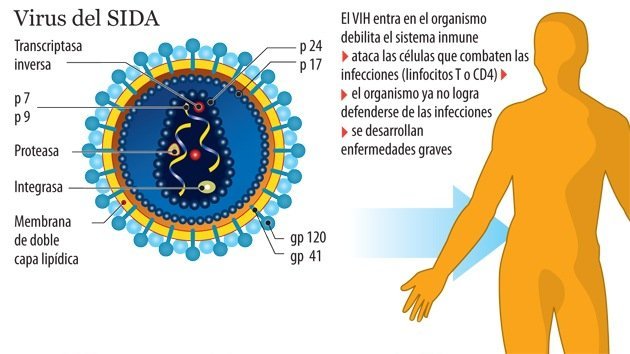 Logran erradicar por primera vez el VIH de una célula humana