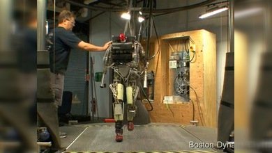 Robot Petman, ¡firmes!