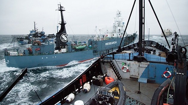 Video: Balleneros japoneses atacan barcos de Sea Shepherd