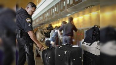 EE.UU. aplica medidas especiales a viajeros de 14 países en aeropuertos