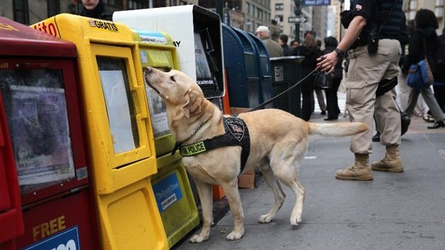 Un dispositivo conseguirá que los perros transmitan mensajes a los humanos