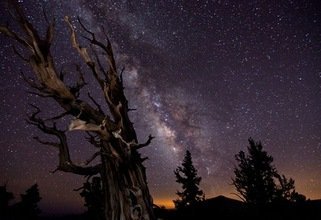 Obras de los mejores fotógrafos astronómicos