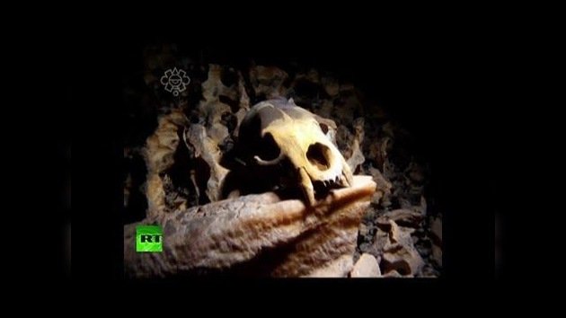 México: Un esqueleto de 12.000 años ayudará a explicar cómo se pobló América
