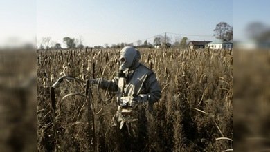 Chernóbyl y Fukushima, similitudes y diferencias. Parte IV: Consecuencias