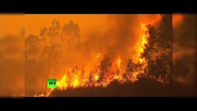 Infierno en Australia: El país lucha contra los incendios en medio de una ola de calor récord