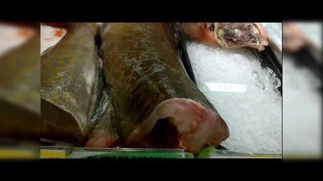 Un ‘pez  zombi’ sin cabeza  sigue vivo… y coleando