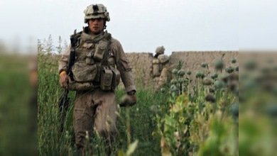 'EE. UU. sigue una política antidrogas errónea en Afganistán'