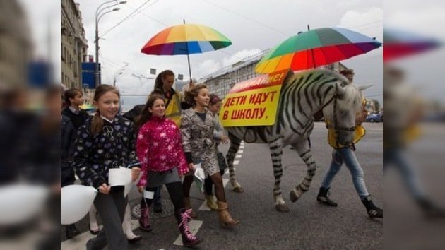 Los policías rusos convierten caballos en cebra para un tráfico más seguro