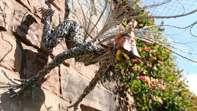Las fascinantes esculturas de alambre de Robin Wight