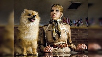 El perro, enemigo del hombre en Irán