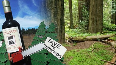 Polémica en EE.UU. por los planes de Codorníu de talar un bosque de secuoyas