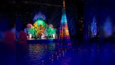 El show navideño acuático de campeones mundiales en diferentes disciplinas