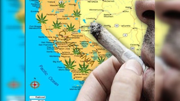 California votará la legalización del consumo recreativo de marihuana