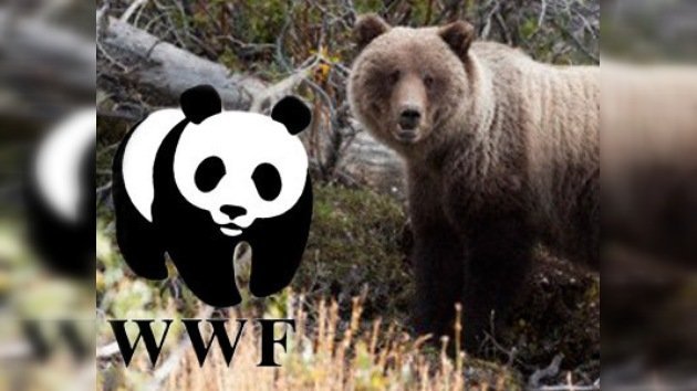 WWF apoya la creación de un nuevo parque ecológico en Rusia