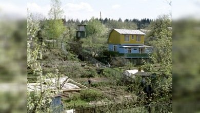 Se inicia la temporada de las dachas en Rusia