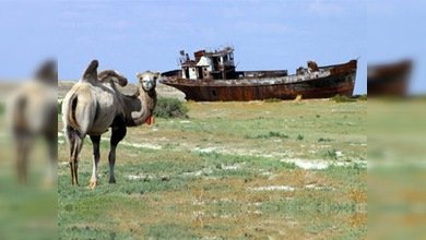 En Kazajistán tratan de resucitar al cuarto lago más grande del mundo