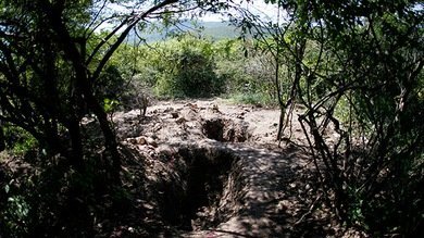 "No son solo 43": ¿Quiénes yacen en las fosas comunes en Iguala?