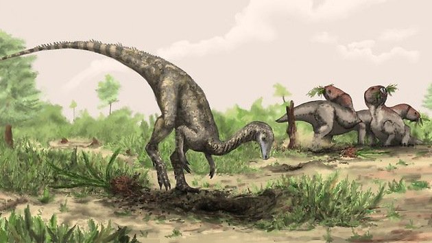 El dinosaurio más antiguo 'anidaba' en los estantes del museo de ciencias de Londres
