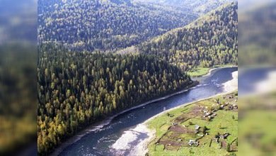 La zona de la caída del Progress no está contaminada